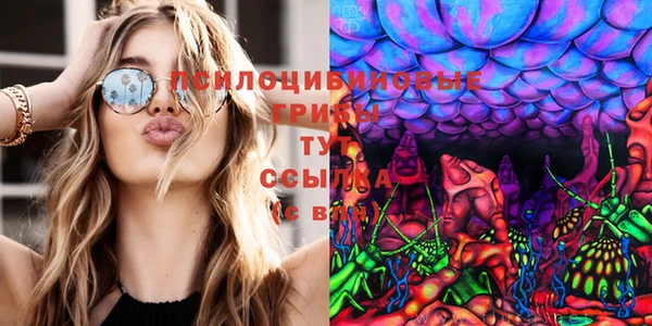 хмурый Михайловск