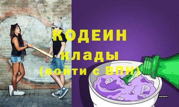хмурый Михайловск