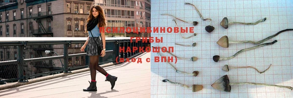 хмурый Михайловск