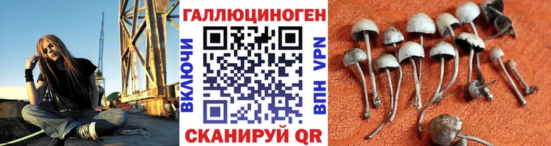 Галлюциногенные грибы прущие грибы  Купить где  Углегорск 
