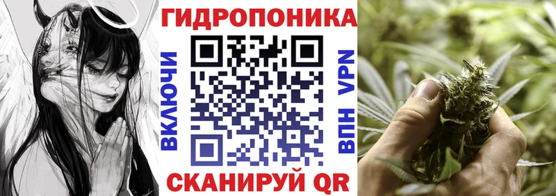 Бошки марихуана конопля  Купить  Углегорск 